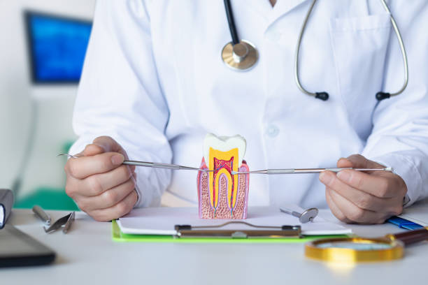 Best Mobile Emergency Dentist in Muskegon, MI